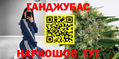 гидропоника Камышлов