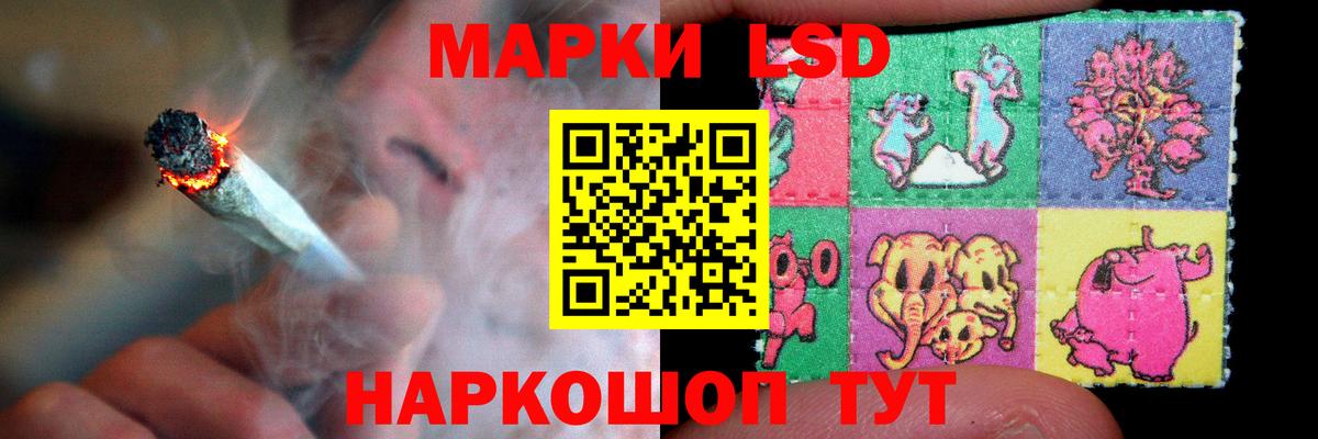 Котлас  ЛСД экстази кислота  Лсд 25 экстази  Вход с VPN 